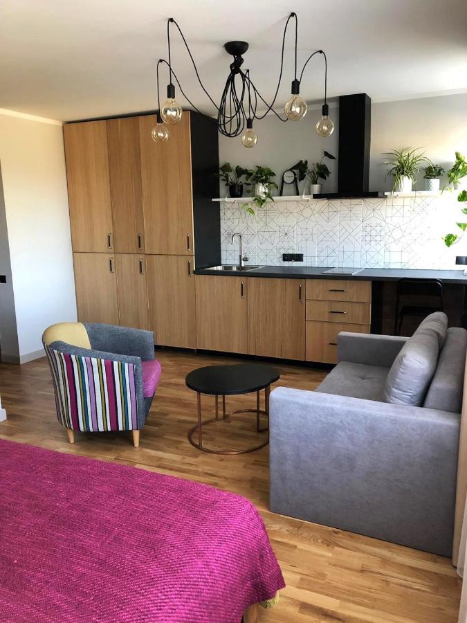 Kaktuss Apartamenti Smiltene Extérieur photo