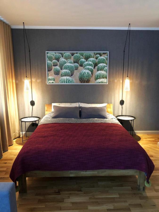 Kaktuss Apartamenti Smiltene Extérieur photo